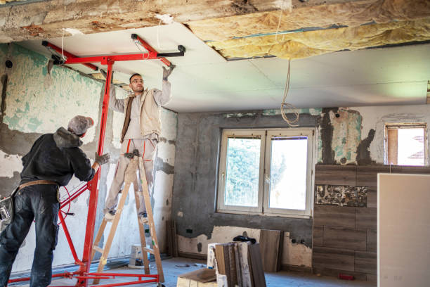 Types of Insulation We Offer in Lemmon, SD