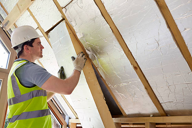Best Residential Insulation in Lemmon, SD