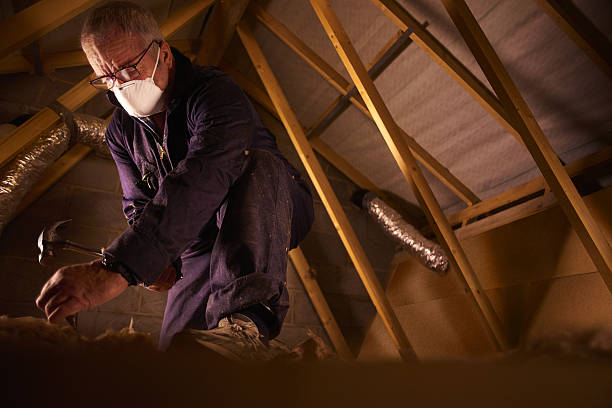 Best Specialized Insulation Services in Lemmon, SD